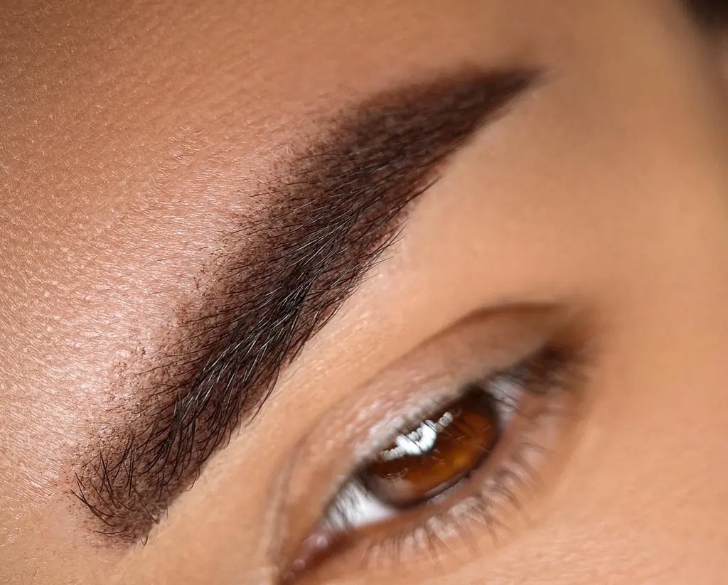 Close-up portrait showing powder ombre brows